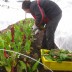 Winter CSA