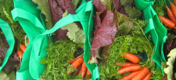 December Holiday Produce Bag