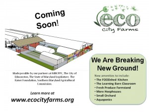 expansion poster - RC