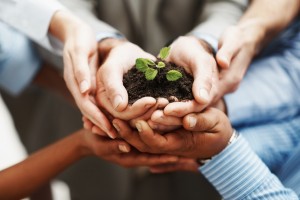 business-development