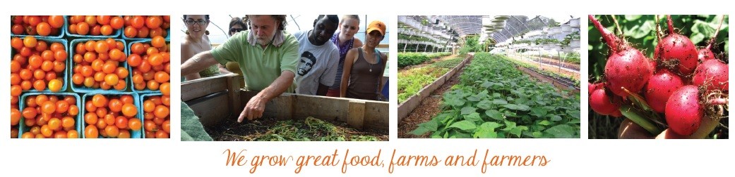 4image-greatfoodfarmsfarmers