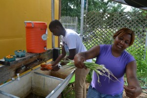 Phillipe and Fiance wash vegetables they just picked from ECO's farm