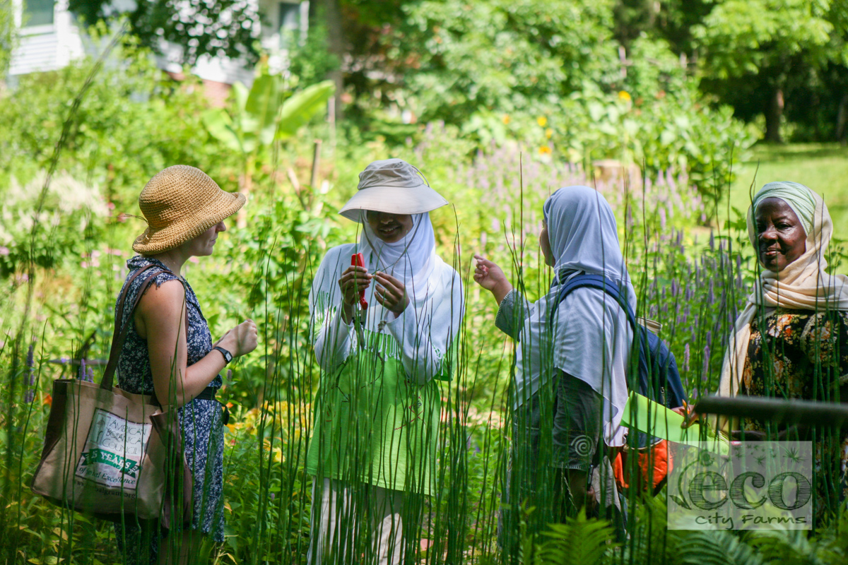 ECO Summer Youth Program Visits Farmacy Garden