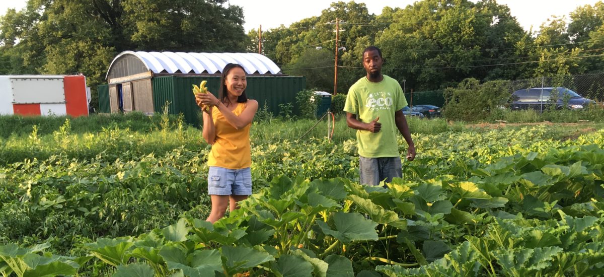 Farm Apprenticeships