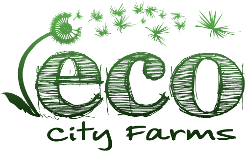 ECO City Farms