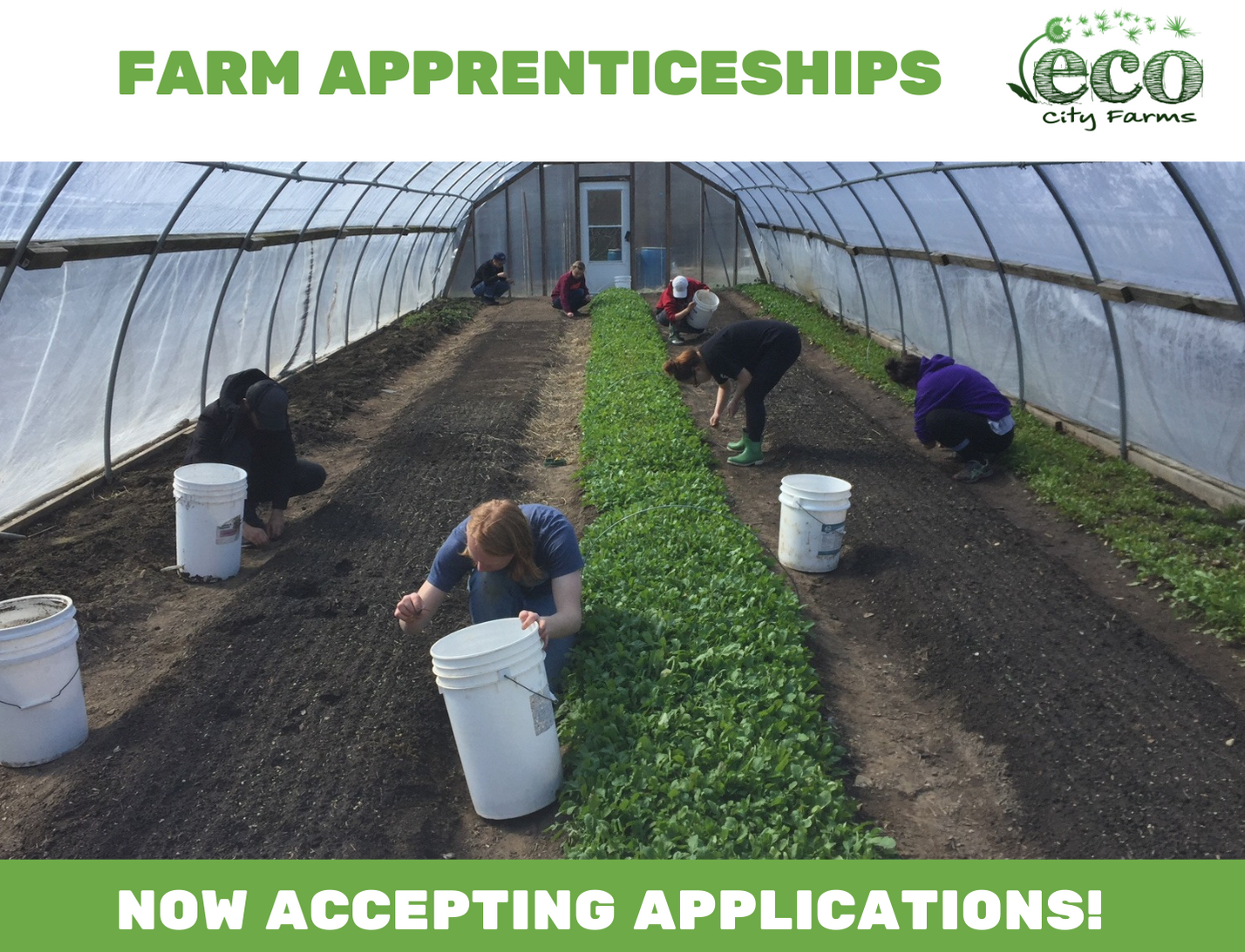 Now Accepting Applications for Fall 2020 Apprenticeships