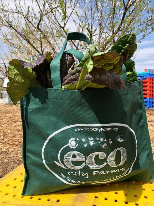 Thanksgiving Produce Bag
