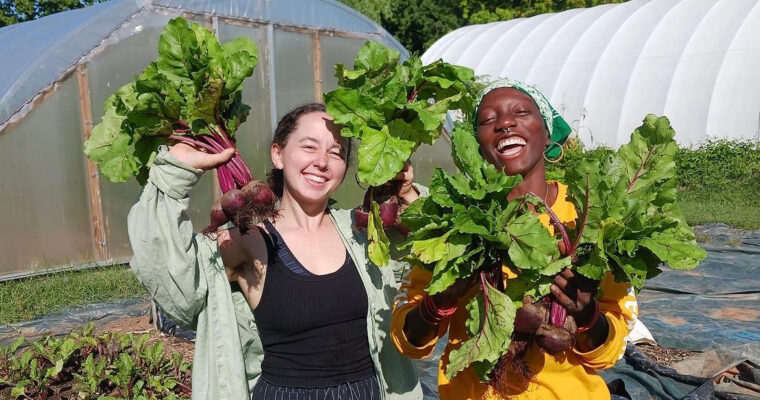 Spring to Fall CSA 2024