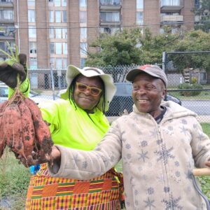 2026 Spring to Fall CSA