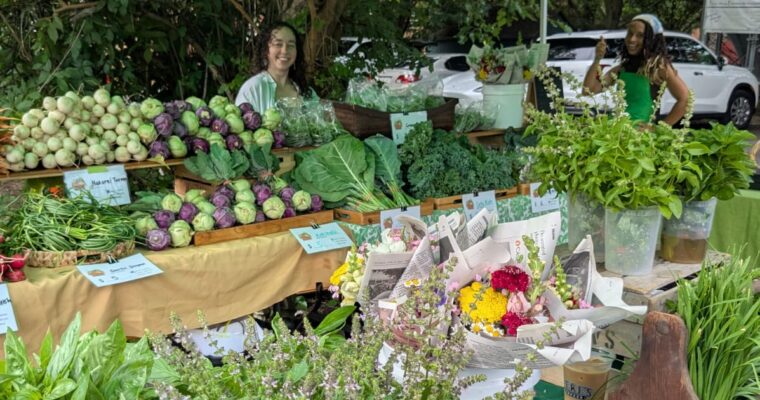 Collaborative Farm Stand at Gateway Farmer’s Market!