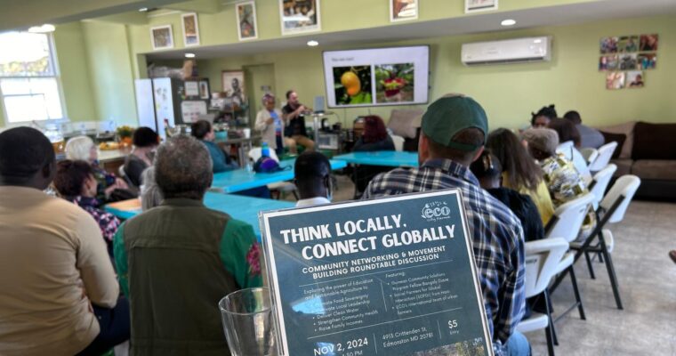 Think Locally, Connect Globally: International Roundtable