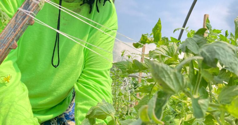 2026 CSA signups now open!