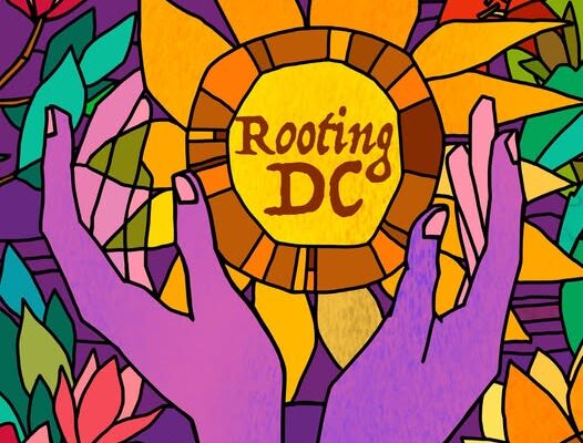 Rooting DC 2026